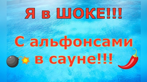 Деревенский дневник очень многодетной мамы \ Я в ШОКЕ!!! С альфонсами в сауне!!! \ Обзор