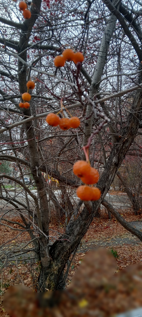 Мусор пришлось замазать 🤷