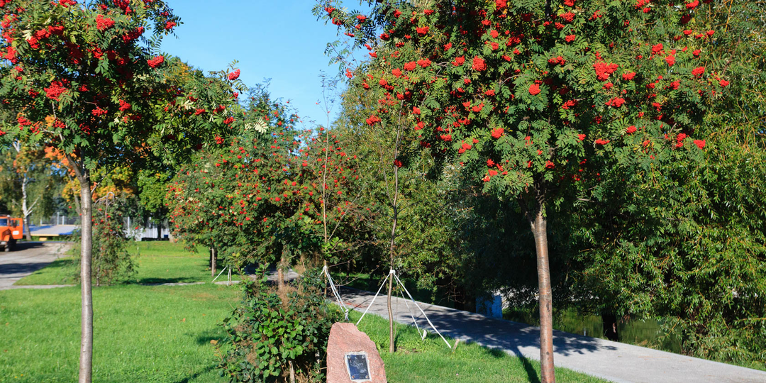 Москва Кира Булычева