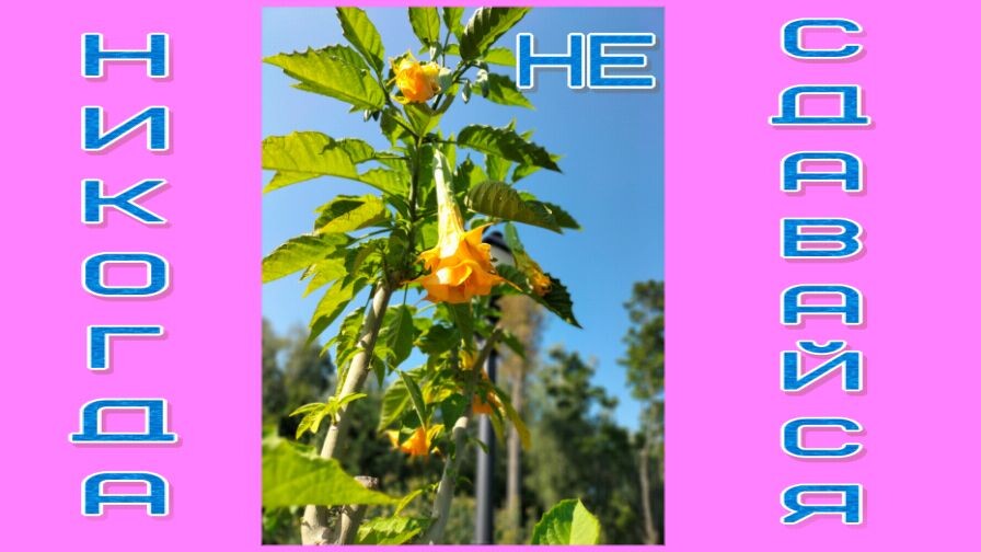 Фото личное