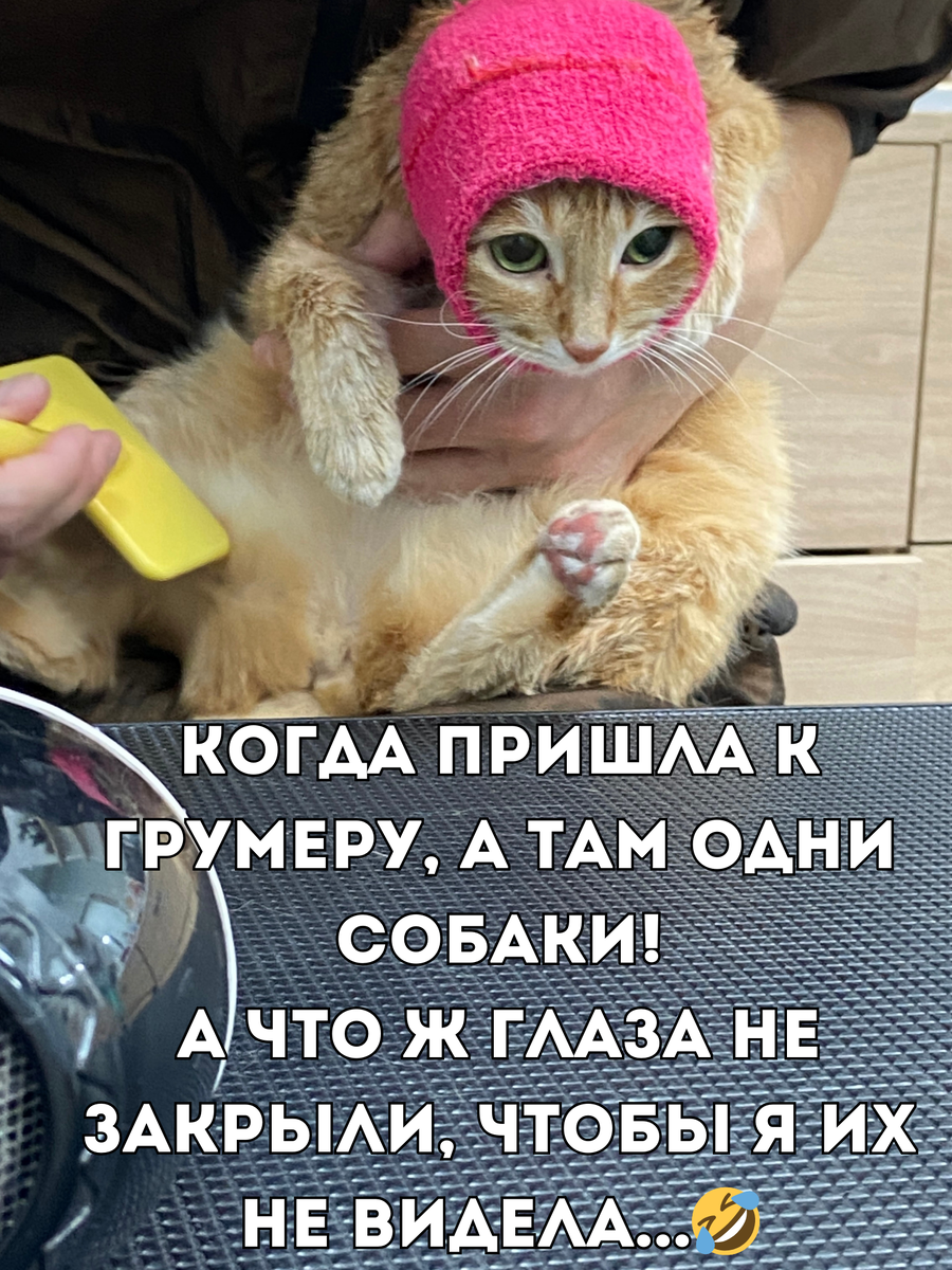 Цитаты про тяжелую жизнь. Ждать цитаты. В ней будут долго оставаться. Любите друг друга цитаты. Сильные цитаты.