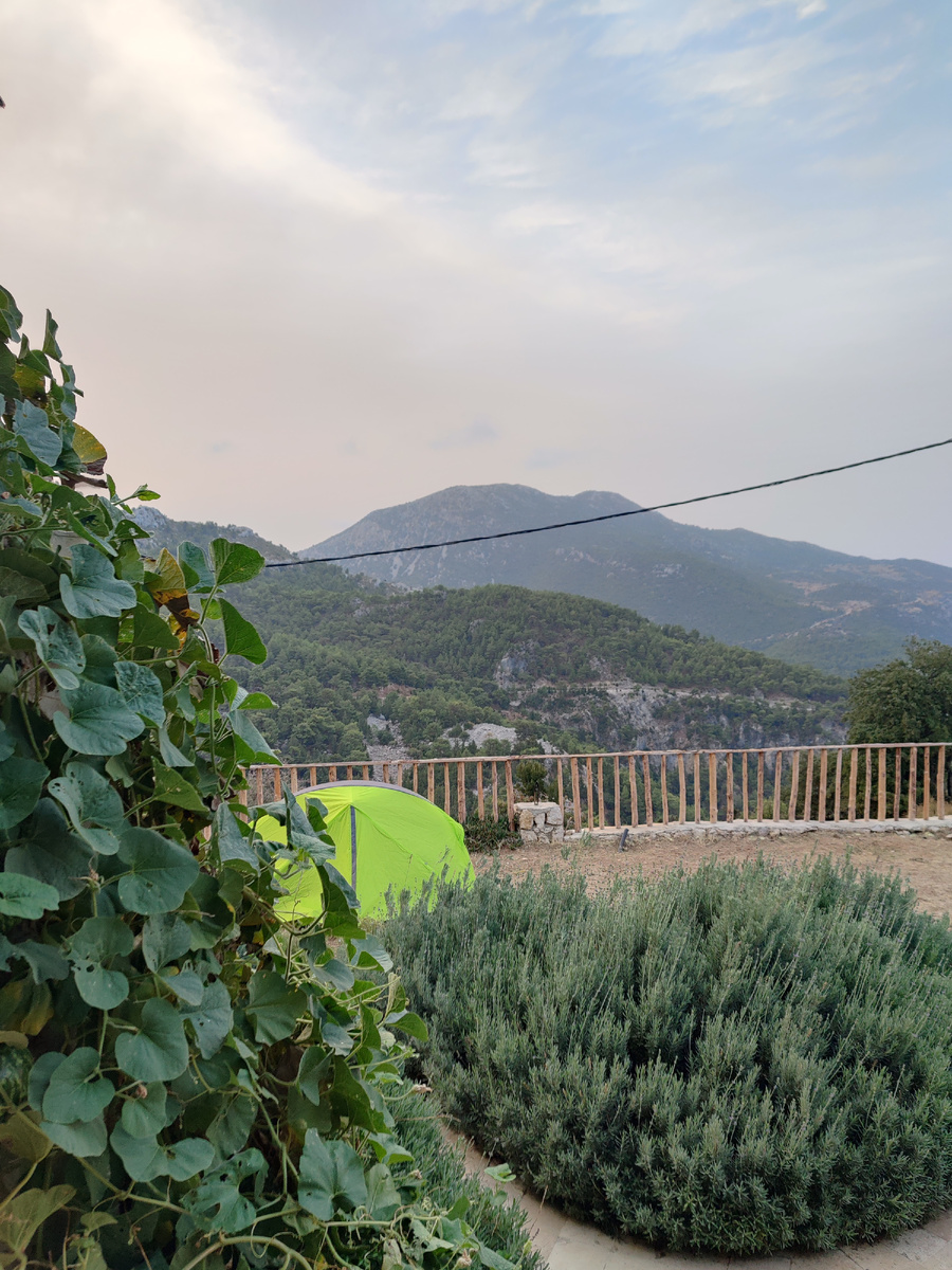 Бульбазавр достойно простоял эту ночь под ураганными порывами.