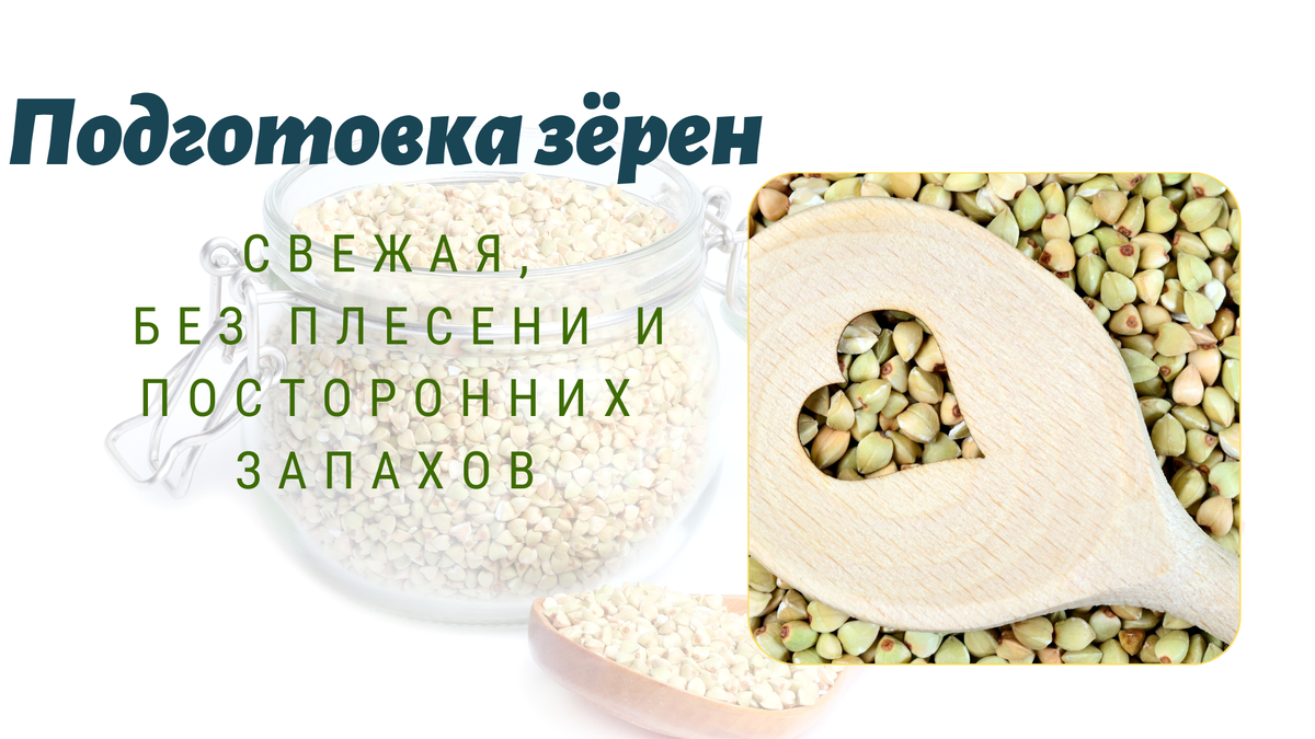 зелёная гречка