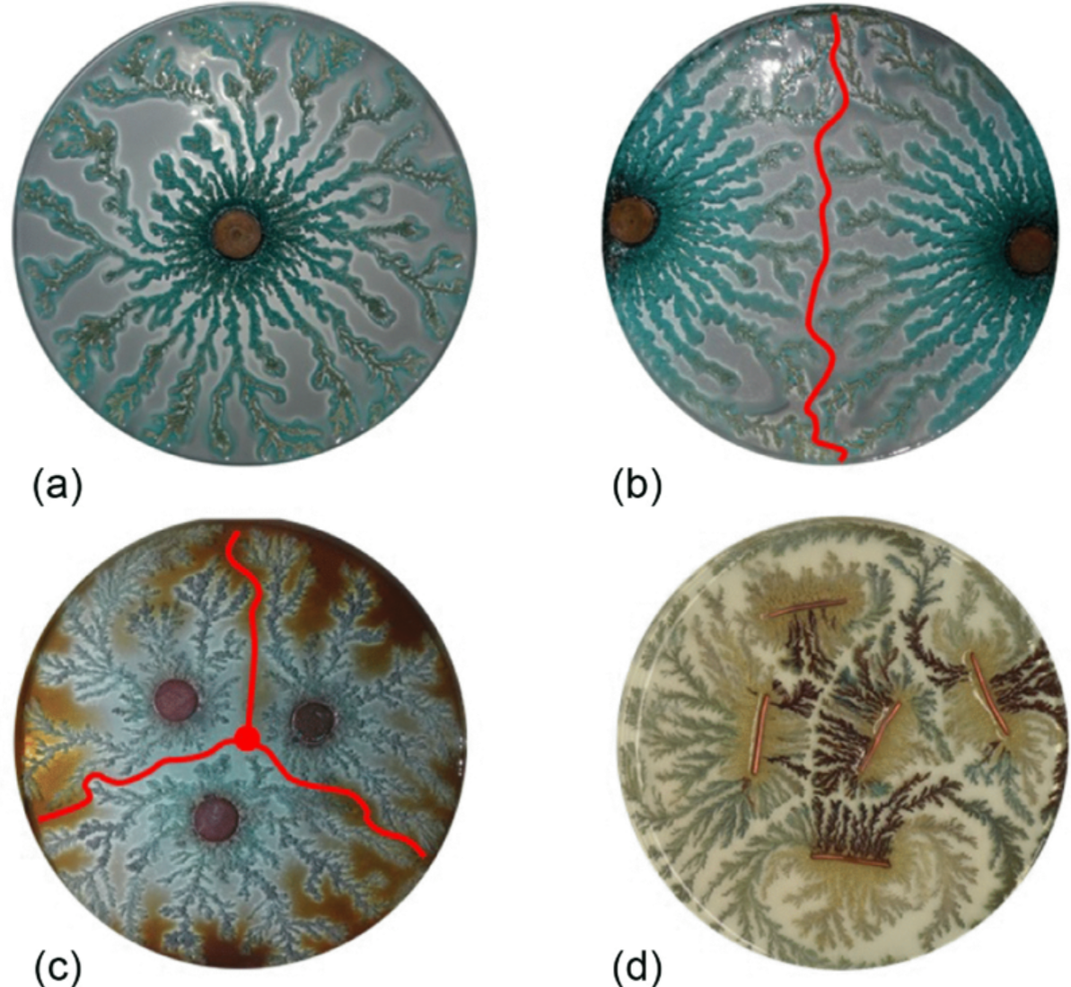   Rabih Sultan et al. / Physical Review Letters, 2024