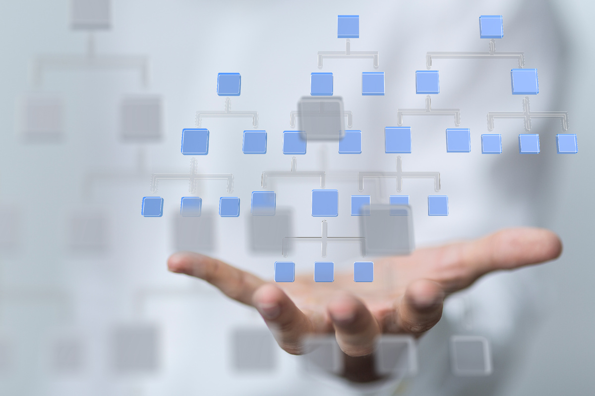 Фото vegefox.com https://stock.adobe.com/