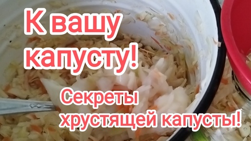 Мои секреты вкусной хрустящей, квашеной капусты.