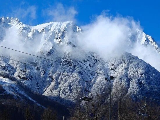    Фото: Юрий Серебренников/BFM Кубань