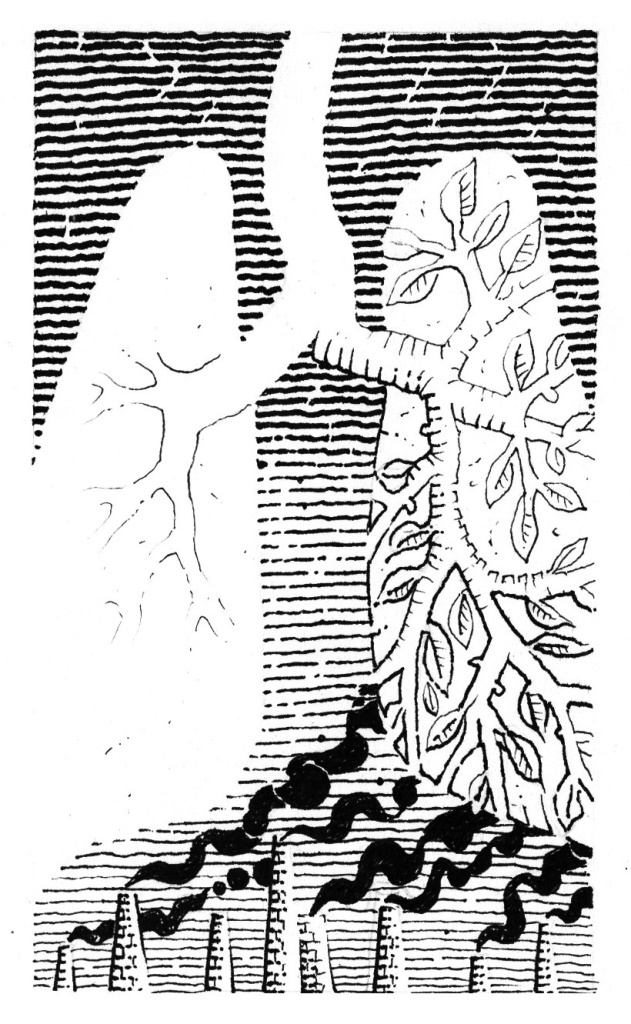 Иллюстрация Петра Перевезенцева