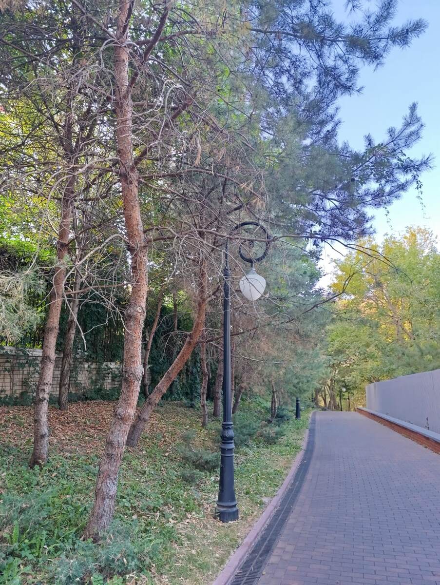 Вот тут нам встретились те самые, которые ничего не ответили. За стеной там проходит реконструкция, что не удивительно - исторических домов в Нижнем Новгороде хватает.