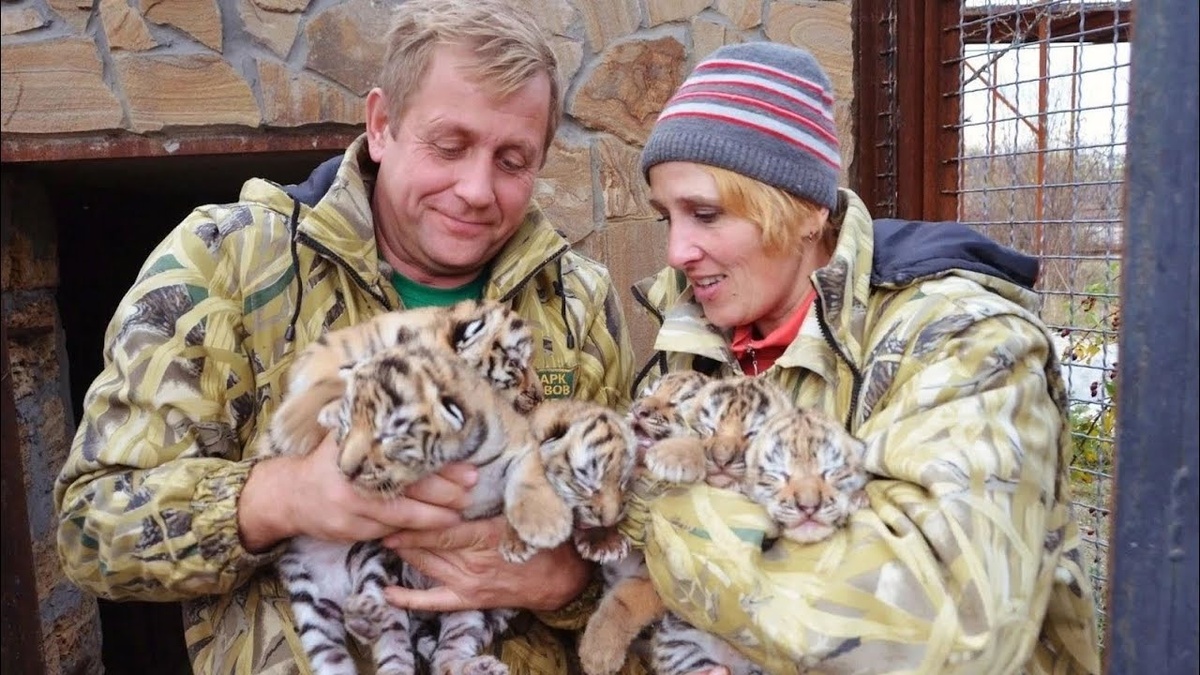 Олег Зубков и Леокадия Перевалову / YouTube