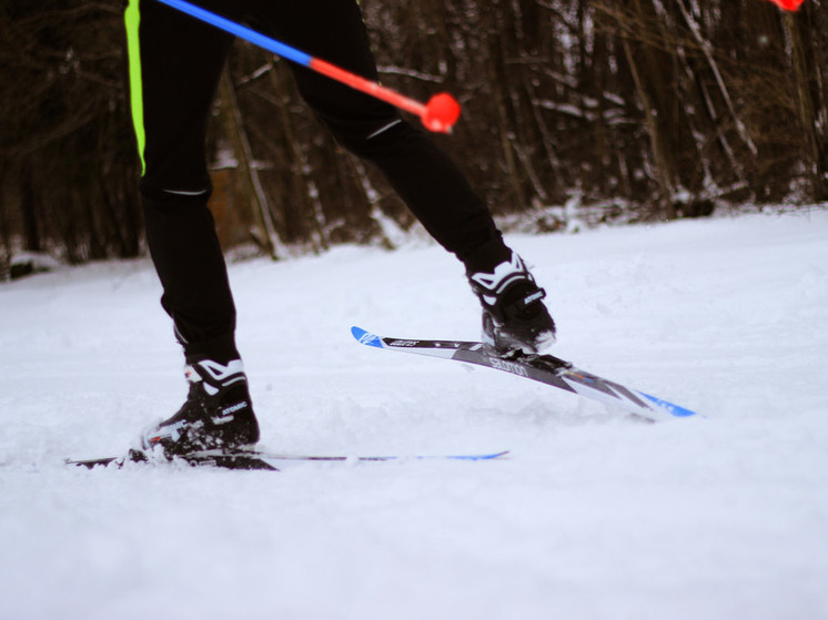     Фото: pxhere.com