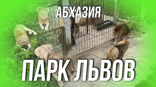 АБХАЗИЯ. ПАРК ЛЬВОВ. ГУДАУТСКИЙ РАЙОН.