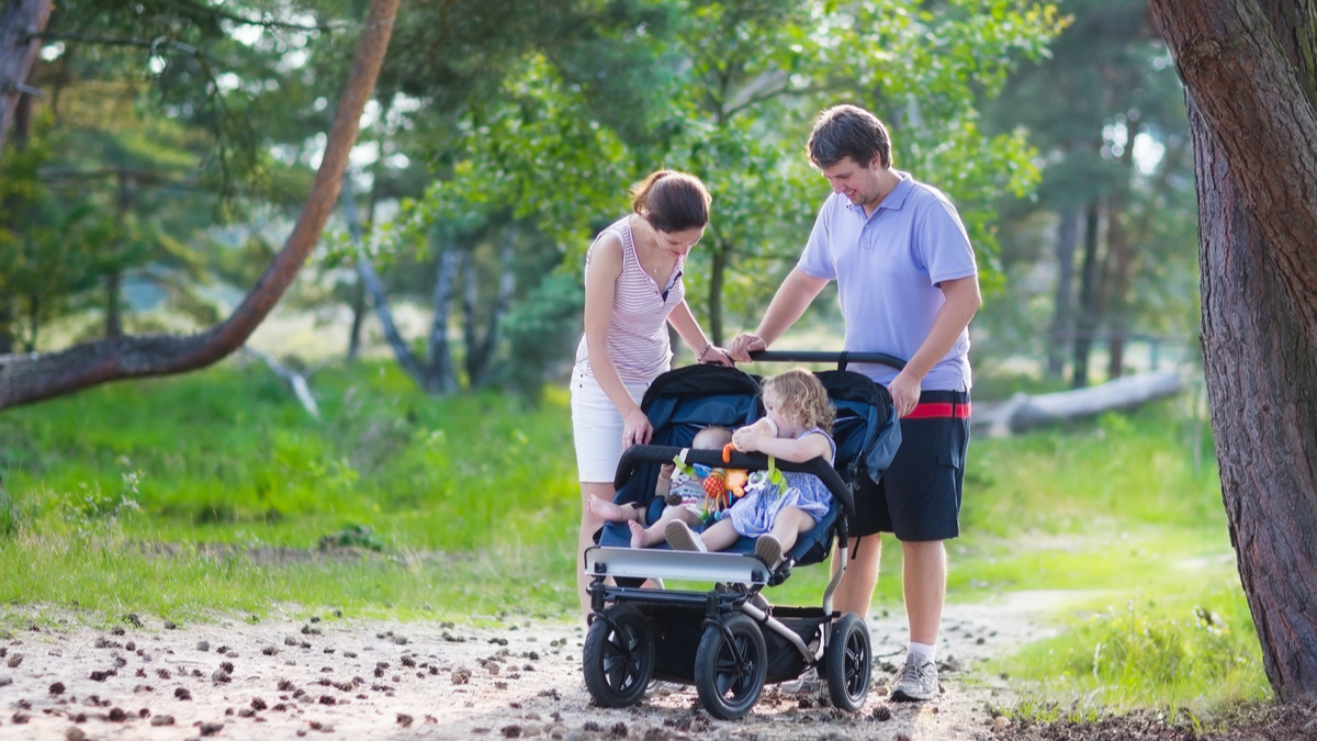 Картинка из интернета