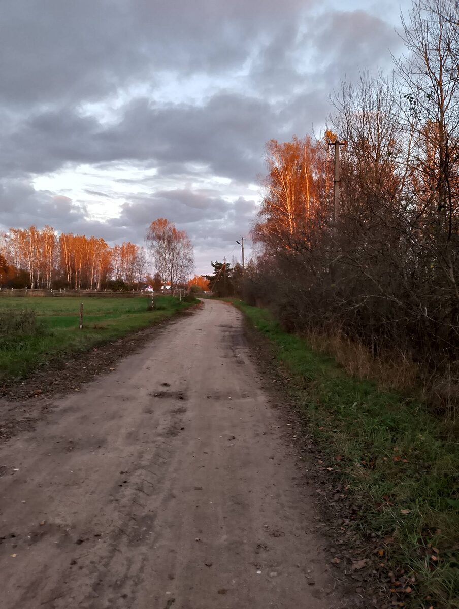 Пусть эта дорога символизирует движение к пониманию