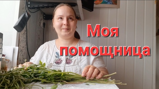 Последняя зелень / На хозяйстве / У собаки день рождения 🐕🐤🐔💪🌱