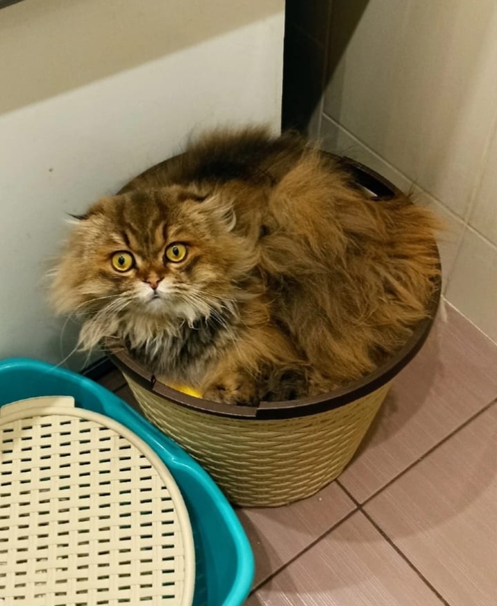 Примерно моё состояние весь день 😅