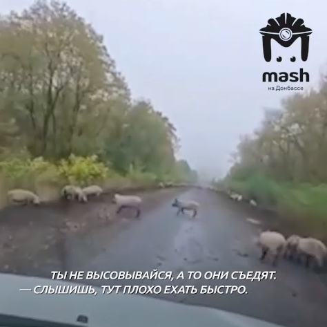    Фото: скриншот из t.me/mash_donbass