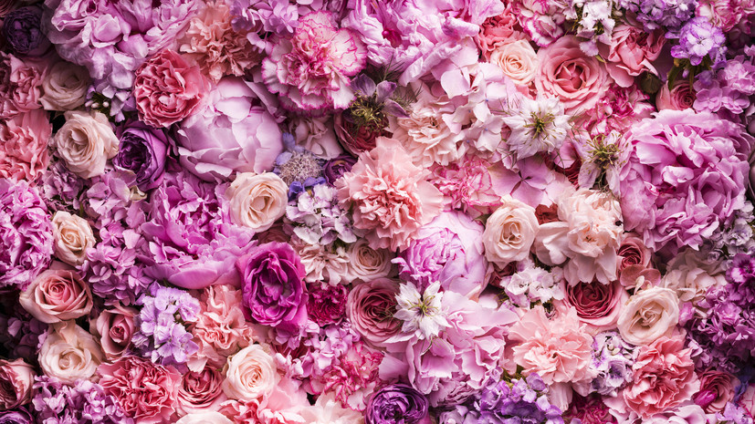   Gettyimages.ru Jonathan Knowles