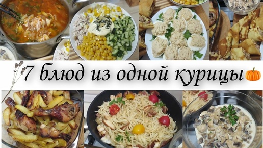 ✅Архив! 7 блюд из одной курицы🍱Готовлю на семью из 4-х человек на несколько дней✨ экономное меню