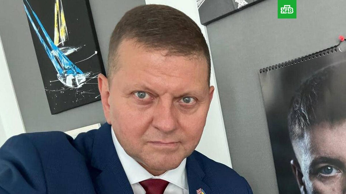    Фото: Zaluzhnui / t.me