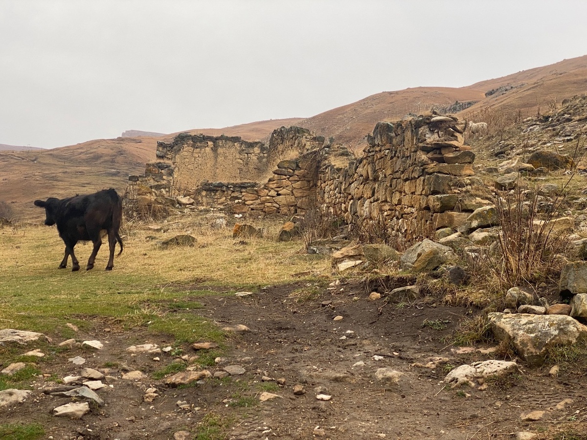 Развалины в Хасауте  (фото осеннее)