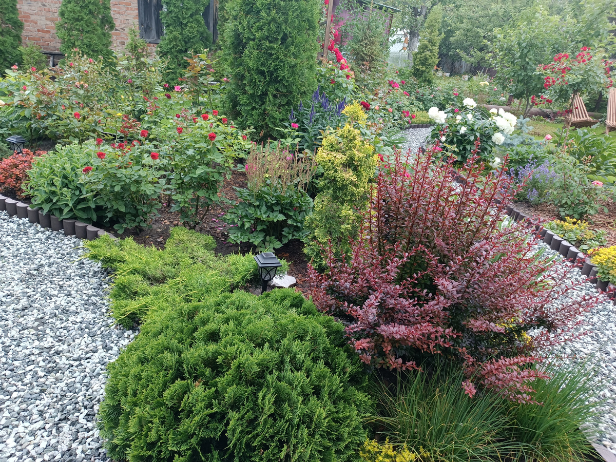 Конец июня, Главный розарий 