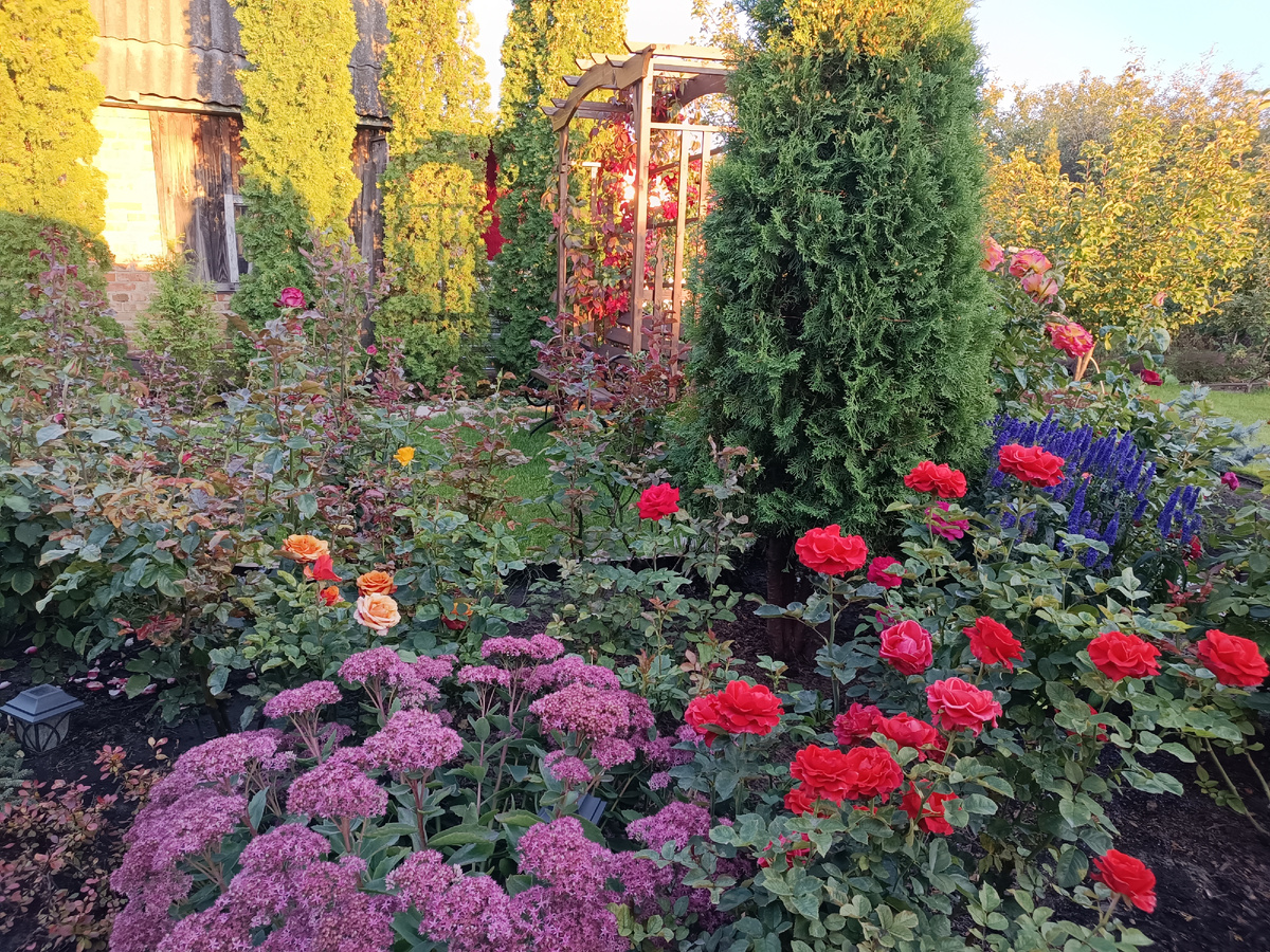 То самое место переделок , перед туей