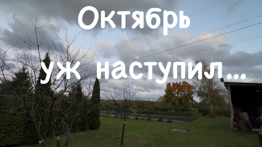 128. Посев зелени в октябре. Октябрьский урожай овощей. Сделали новую площадку около гостевого домика.