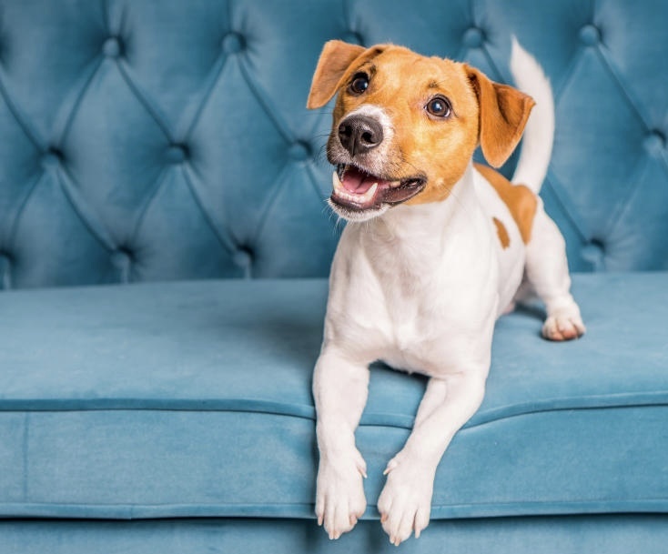 Фото из интернета. 