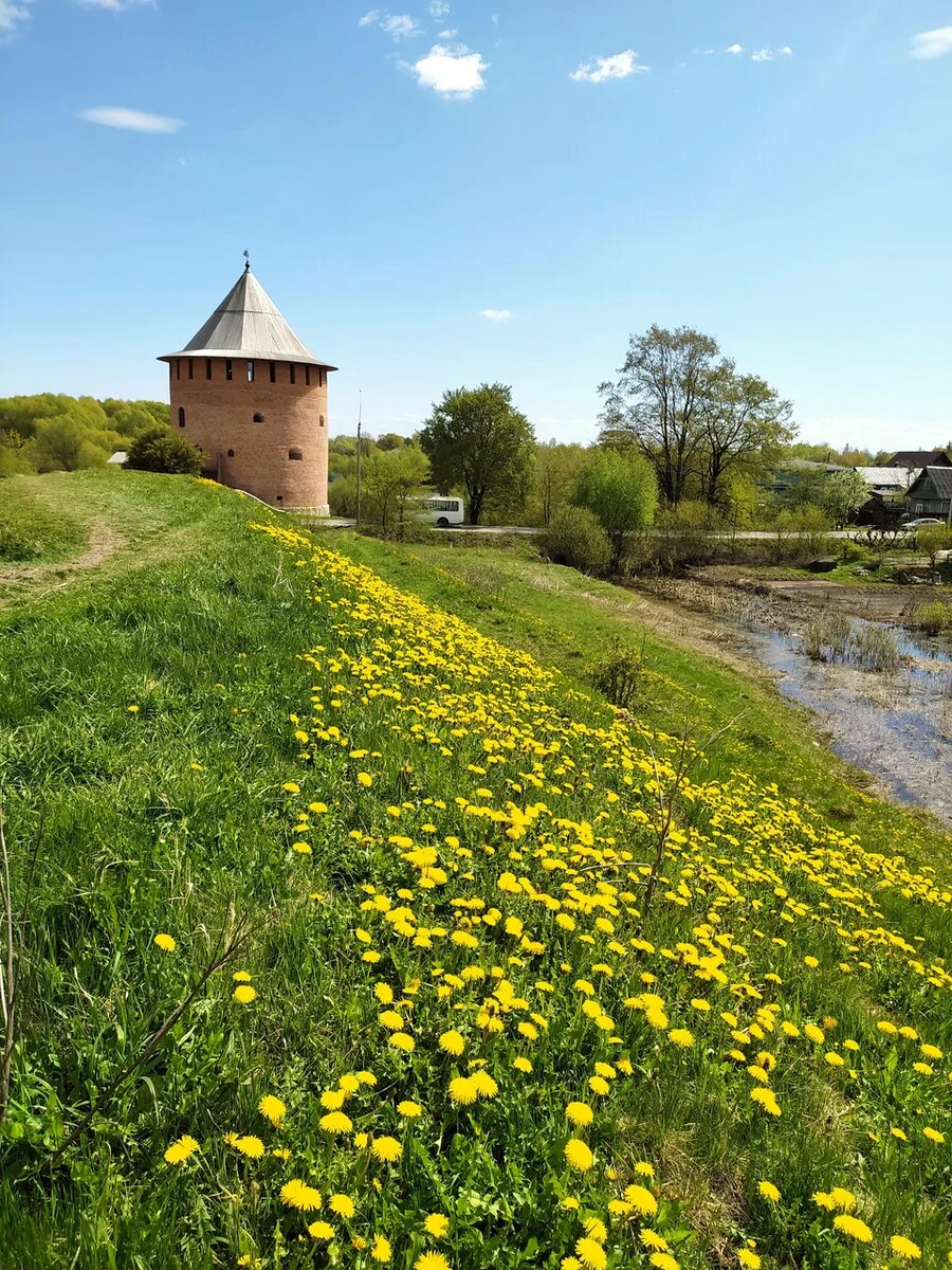 Окольный вали Белая башня. Источник: https://yandex.ru/maps