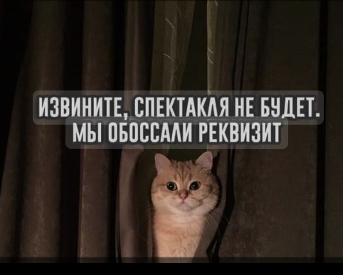 Изображение из сети Интернет
