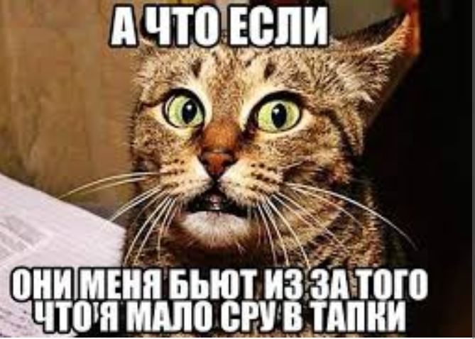Изображение из сети Интернет*