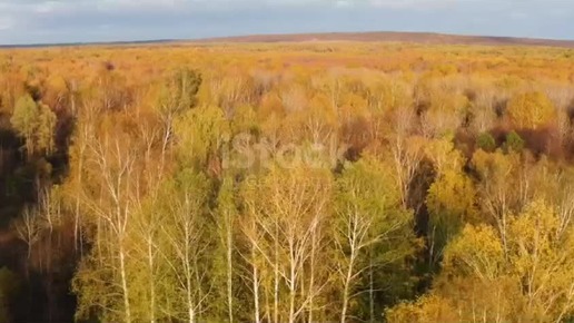 Октябрь деревьев платья перешил...