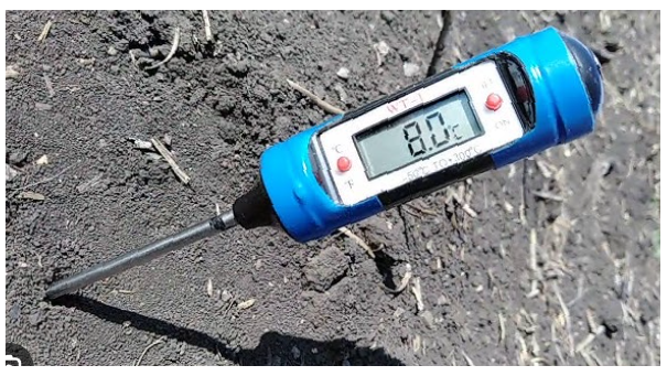 Проверка температуры грунта - важный этап перед посевом астр