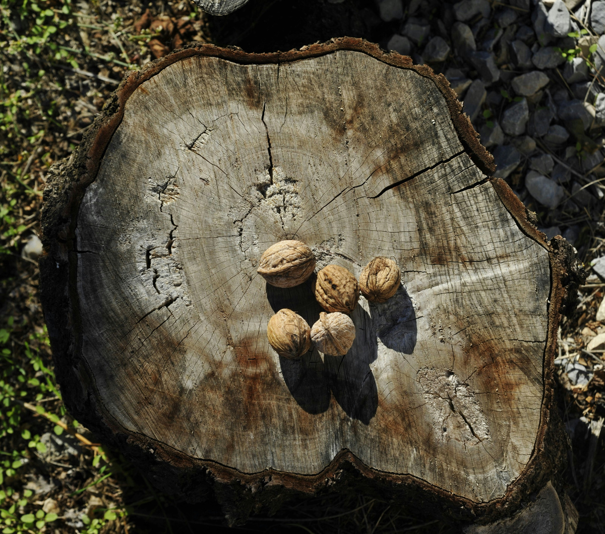 Картинка с бесплатного фотостока https://unsplash.com, автор Jacqueline O'Gara