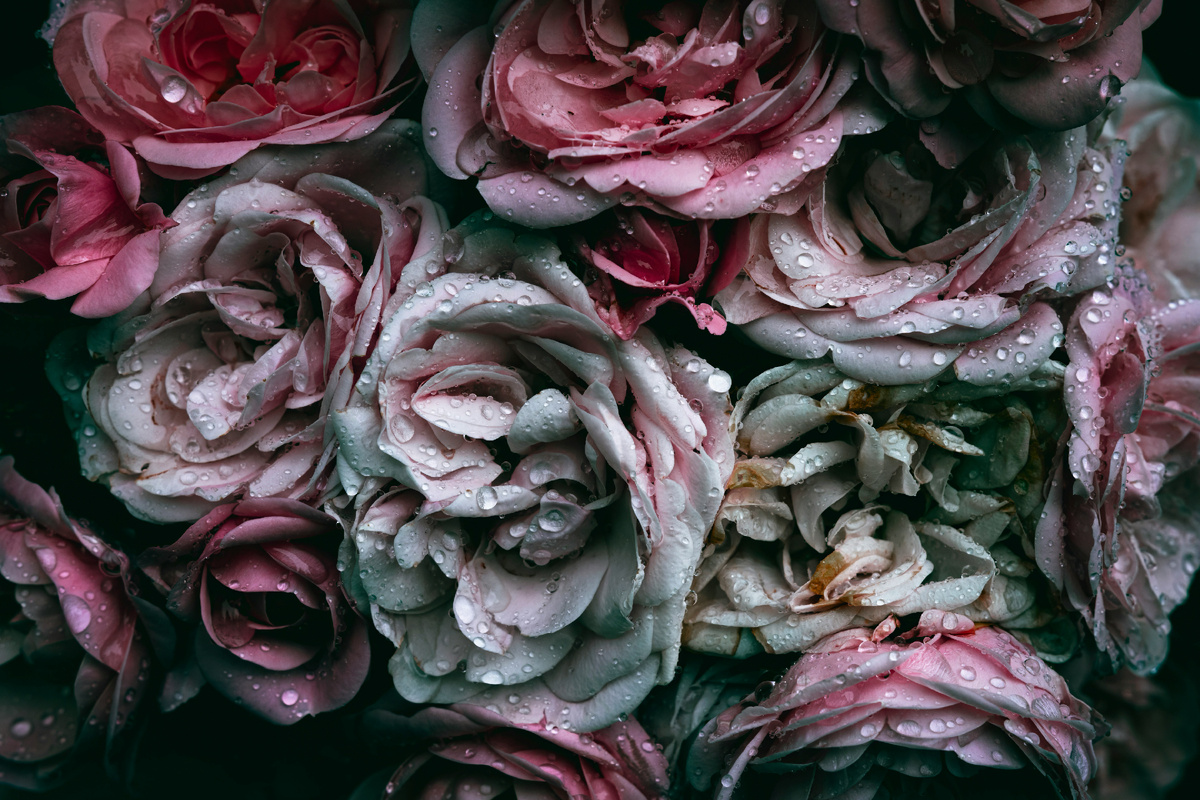 Картинка с бесплатного фотостока https://unsplash.com, автор  Wyxina Tresse