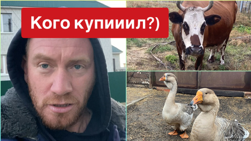 Вы обалдеете кого я купил!?😂🙀🤣🙈