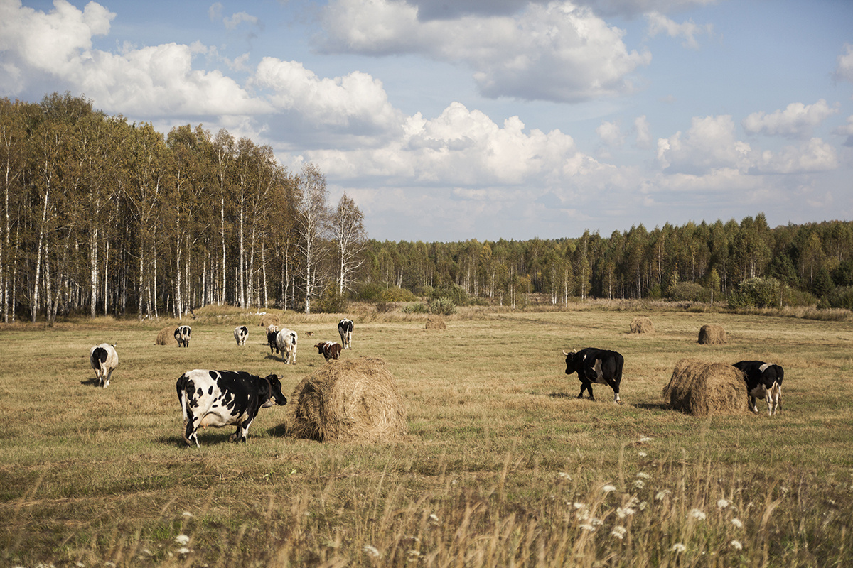 Почетные пенсионеры 