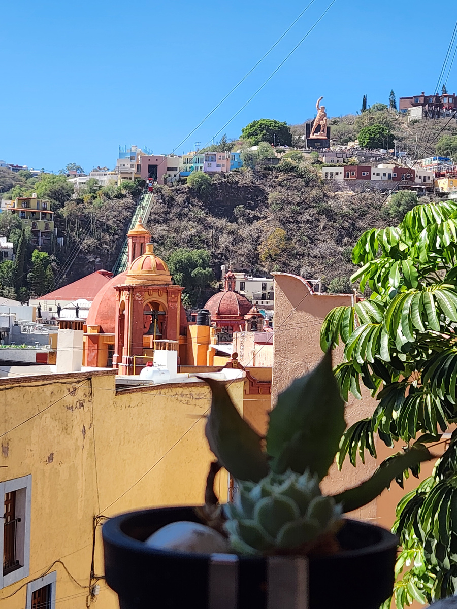 обзорная площадка в кафе