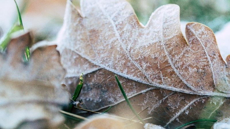 Фото: @EyeEm / unsplash.com