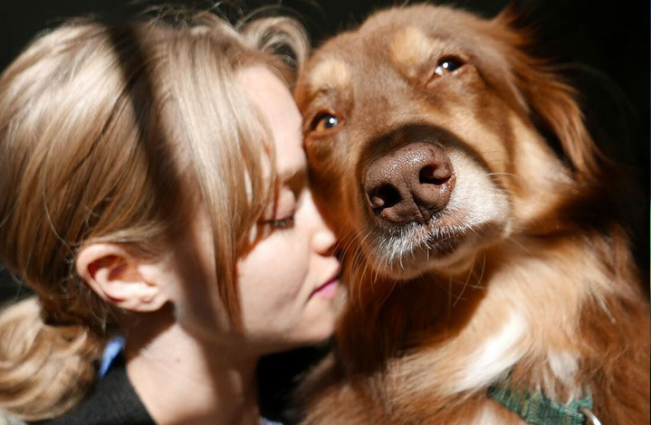 Аманда Сейфред и её питомец