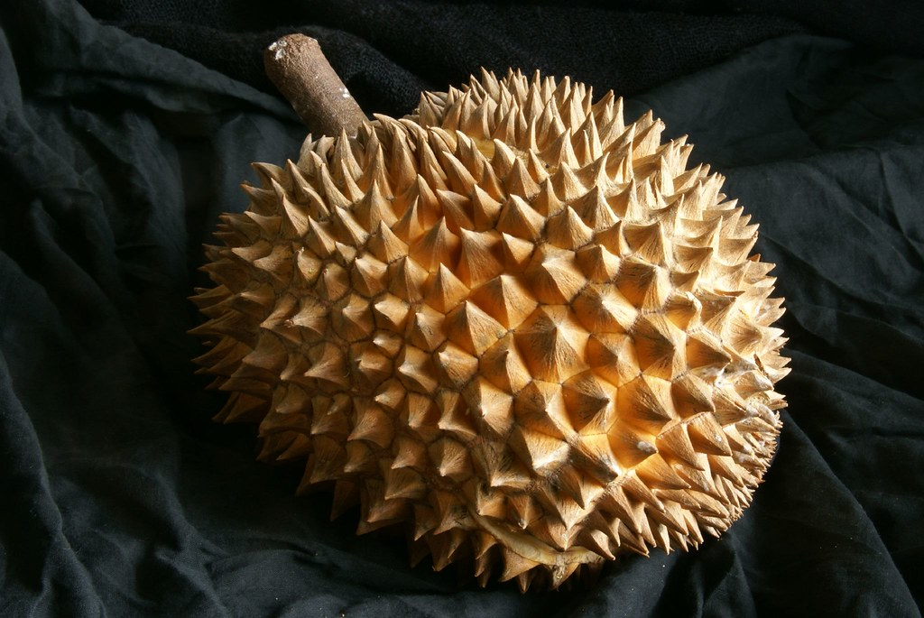 Фото: Crystalline Radical / Wordpress.org / openverse