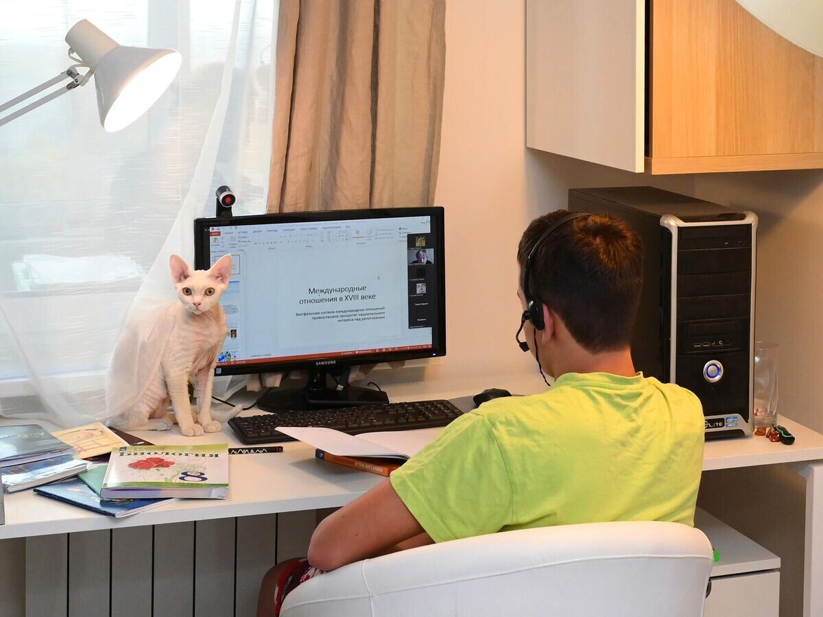    Ученик школы №1580 во время онлайн занятий у себя дома в Москве© РИА Новости / Владимир Трефилов