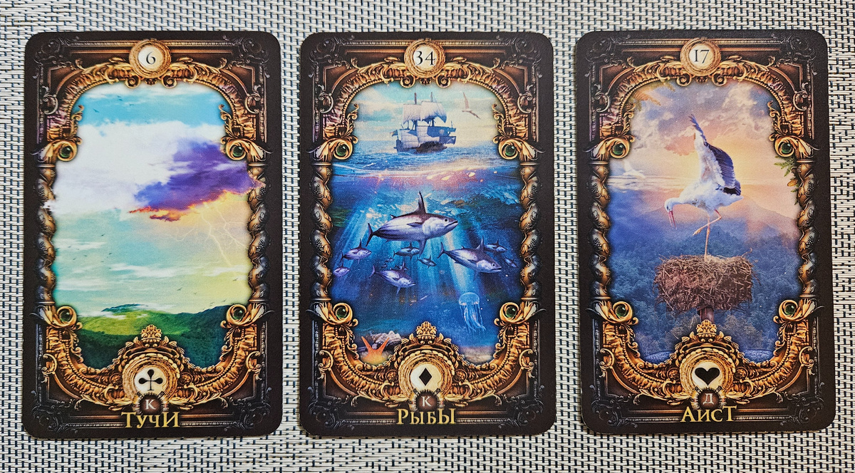 Общая энергия месяца. Водолей. Ноябрь'24