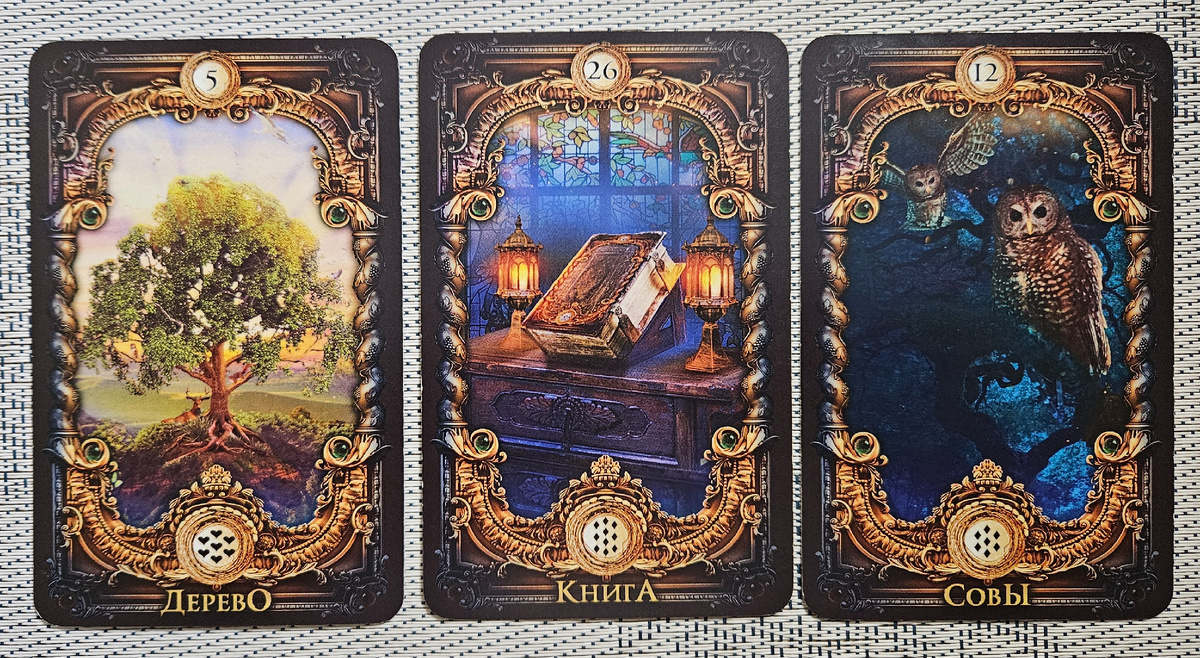 Общая энергия месяца. Ноябрь'24. Телец.