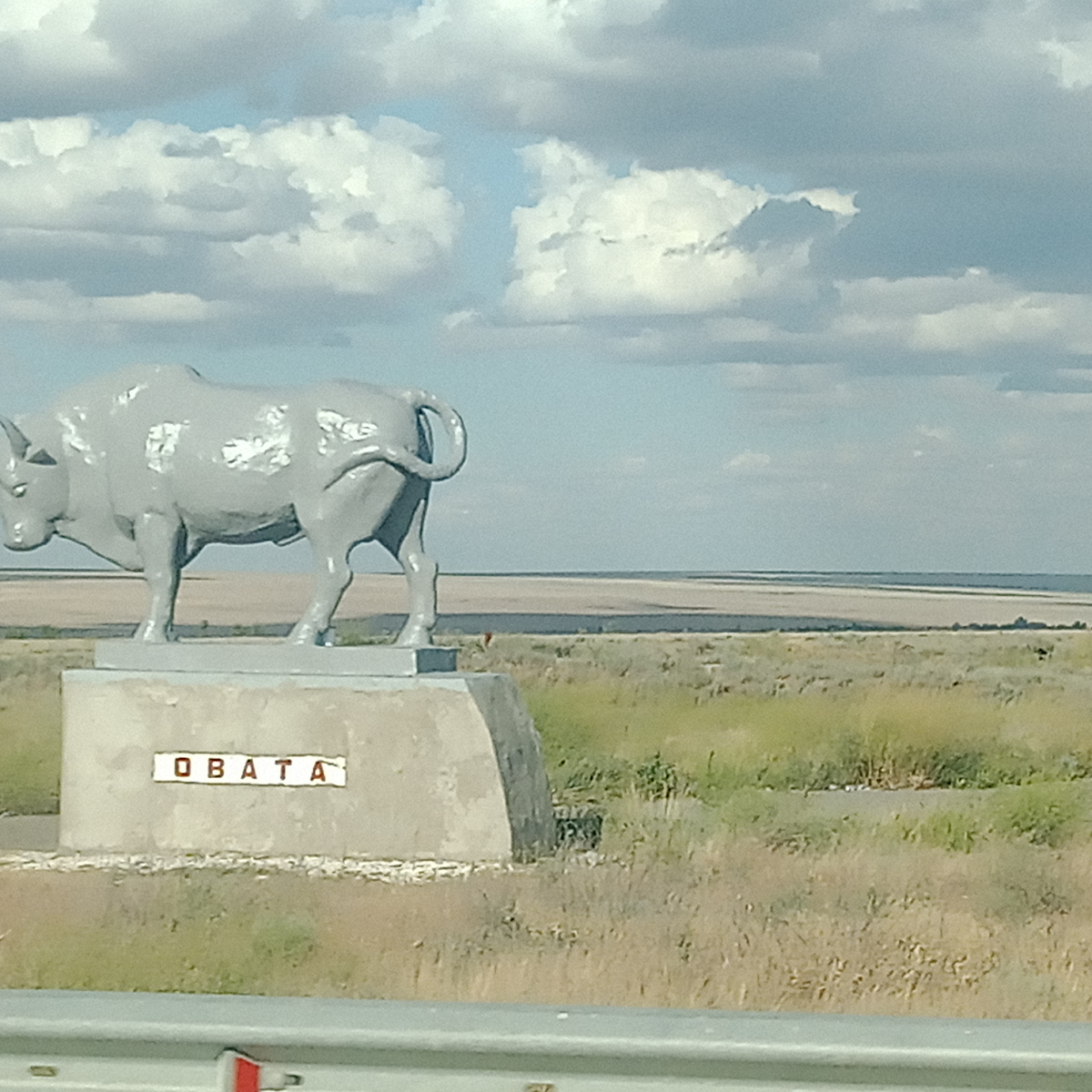 Сын сфотографировал на ходу из окна машины