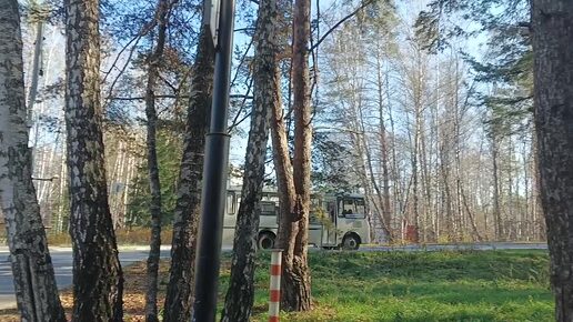 Прогуляемся у дома в небольшом парке