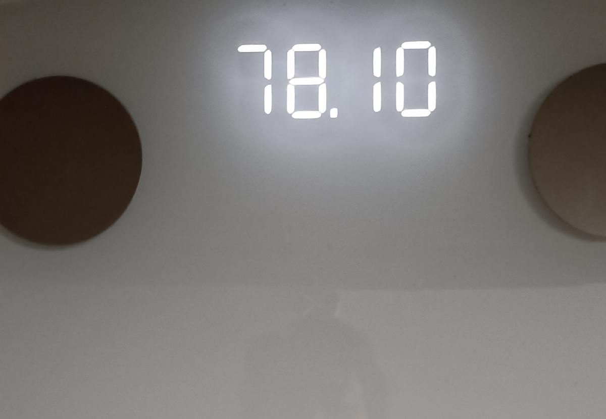 Вес на 19.10.2024