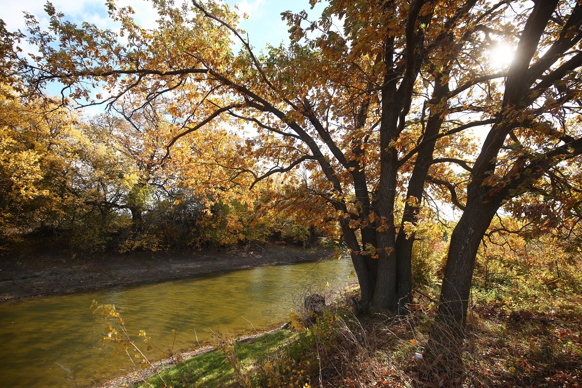 © Фото: ИД «Волгоградская правда» / Кирилл Брага / архив.
