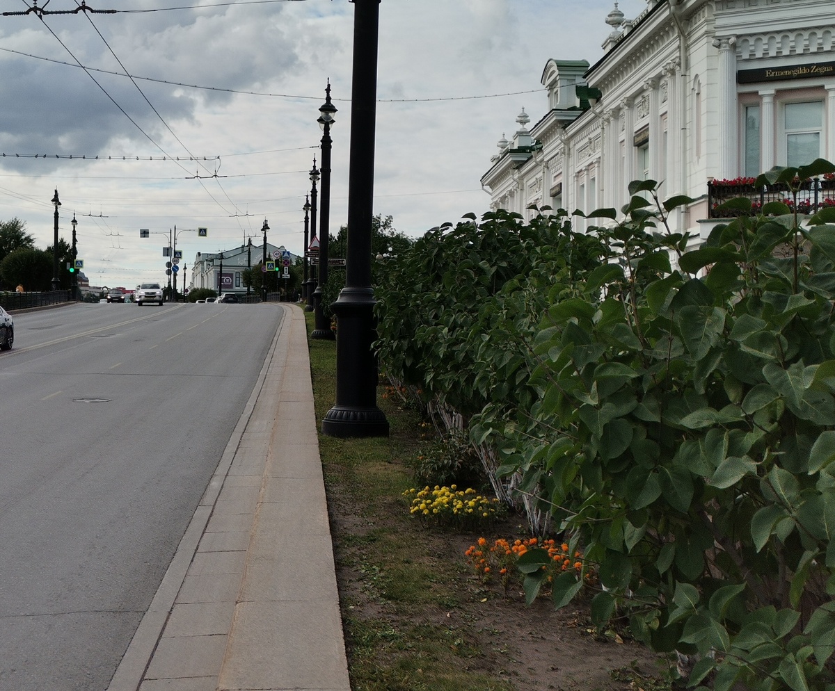 Фото 2024 год